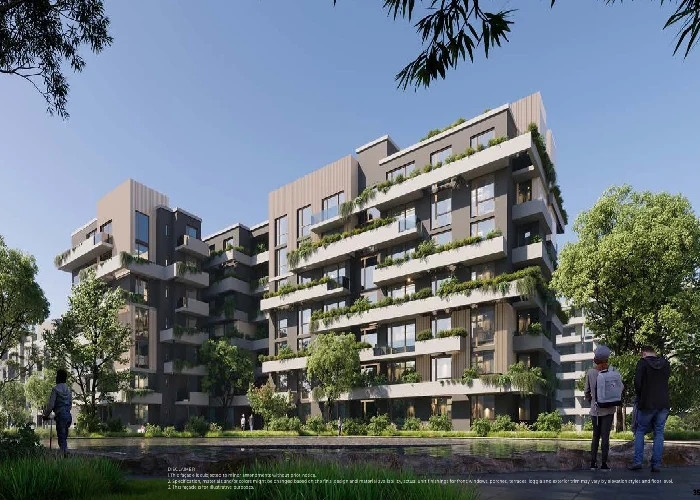 Spaces Available in IL Bosco City